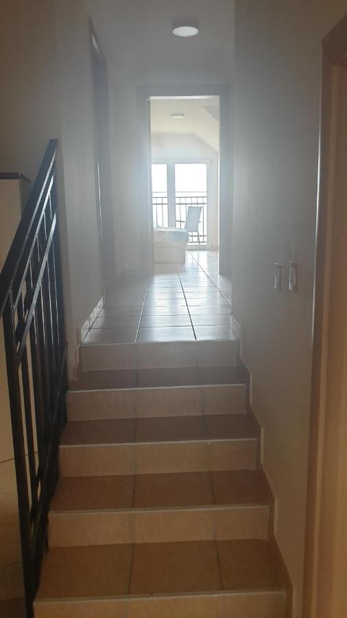 Apartments Kamenjar Novi Sad Zimmer foto